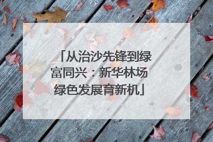 从治沙先锋到绿富同兴：新华林场绿色发展育新机