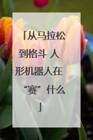 从马拉松到格斗 人形机器人在“赛”什么