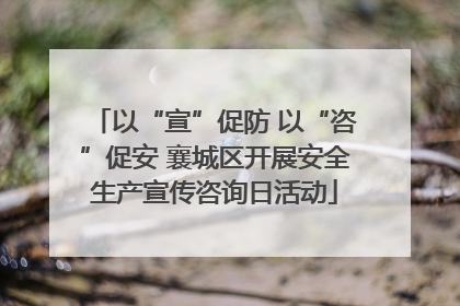 以“宣”促防 以“咨”促安 襄城区开展安全生产宣传咨询日活动
