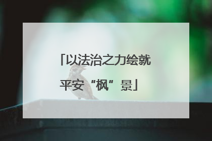 以法治之力绘就平安“枫”景