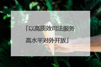 以高质效司法服务高水平对外开放