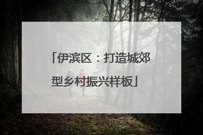 伊滨区：打造城郊型乡村振兴样板