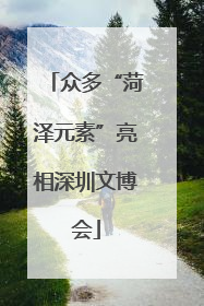 众多“菏泽元素”亮相深圳文博会