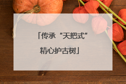 传承“天把式” 精心护古树