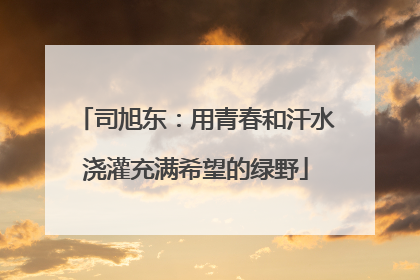 司旭东：用青春和汗水浇灌充满希望的绿野