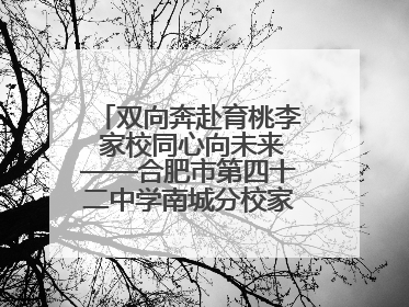 双向奔赴育桃李 家校同心向未来——合肥市第四十二中学南城分校家长学校期末总结会圆满召开