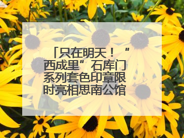 只在明天！“西成里”石库门系列套色印章限时亮相思南公馆，快来盖章吧
