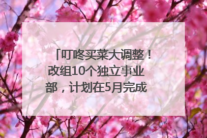 叮咚买菜大调整！改组10个独立事业部，计划在5月完成App端全面改版