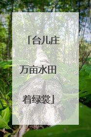 台儿庄万亩水田着绿裳