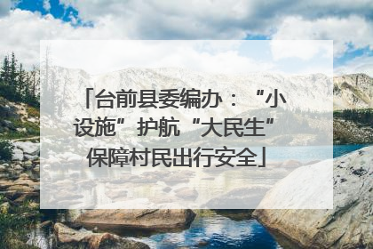 台前县委编办：“小设施”护航“大民生” 保障村民出行安全