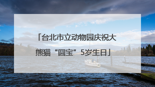 台北市立动物园庆祝大熊猫“圆宝”5岁生日