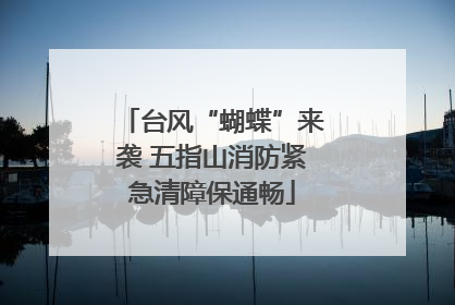 台风“蝴蝶”来袭 五指山消防紧急清障保通畅
