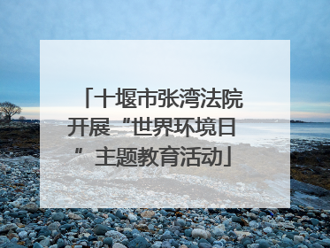 十堰市张湾法院开展“世界环境日”主题教育活动