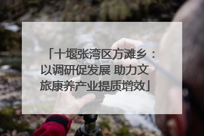 十堰张湾区方滩乡：以调研促发展 助力文旅康养产业提质增效