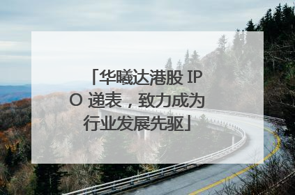 华曦达港股 IPO 递表，致力成为行业发展先驱