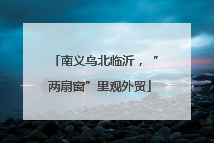 南义乌北临沂，“两扇窗”里观外贸