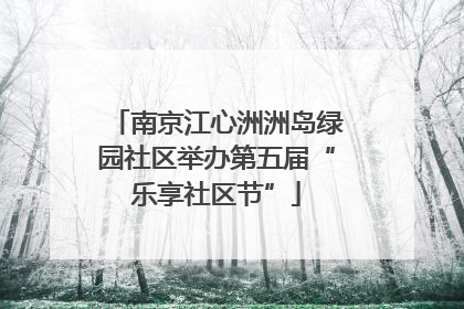 南京江心洲洲岛绿园社区举办第五届“乐享社区节”