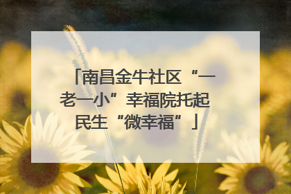 南昌金牛社区“一老一小”幸福院托起民生“微幸福”