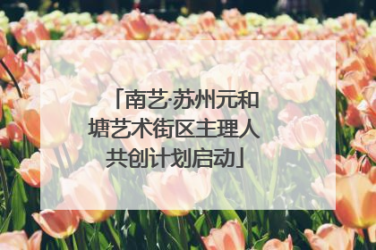 南艺·苏州元和塘艺术街区主理人共创计划启动