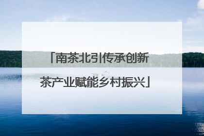 南茶北引传承创新 茶产业赋能乡村振兴