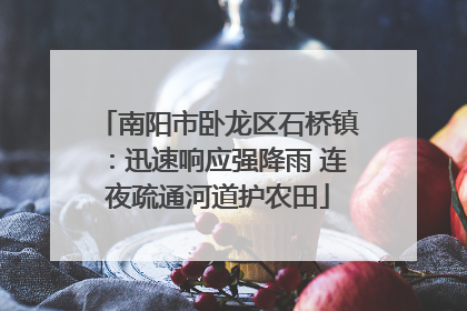 南阳市卧龙区石桥镇：迅速响应强降雨 连夜疏通河道护农田