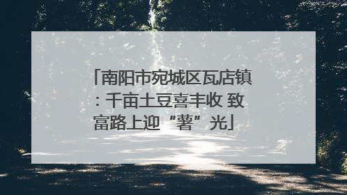 南阳市宛城区瓦店镇：千亩土豆喜丰收 致富路上迎“薯”光