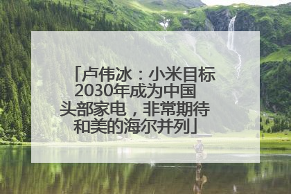 卢伟冰：小米目标2030年成为中国头部家电，非常期待和美的海尔并列