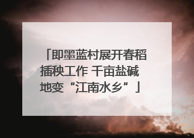 即墨蓝村展开春稻插秧工作 千亩盐碱地变“江南水乡”