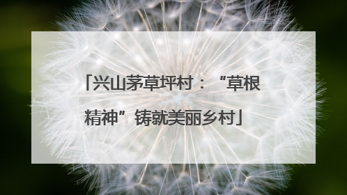 兴山茅草坪村：“草根精神”铸就美丽乡村
