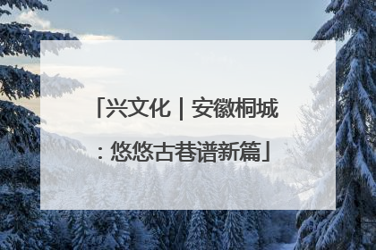 兴文化｜安徽桐城：悠悠古巷谱新篇