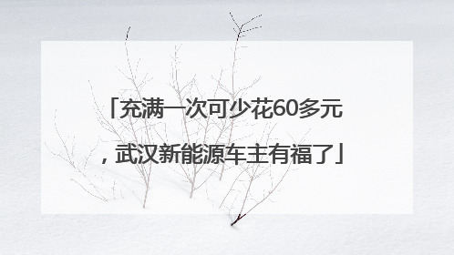 充满一次可少花60多元，武汉新能源车主有福了