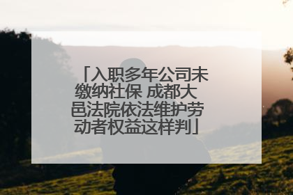 入职多年公司未缴纳社保 成都大邑法院依法维护劳动者权益这样判