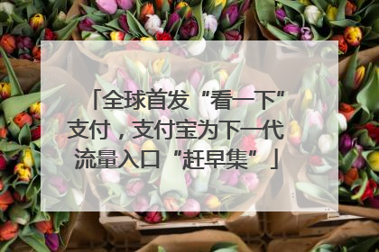 全球首发“看一下”支付，支付宝为下一代流量入口“赶早集”