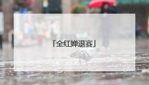 全红婵退赛