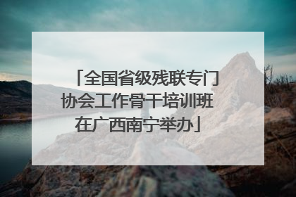 全国省级残联专门协会工作骨干培训班在广西南宁举办
