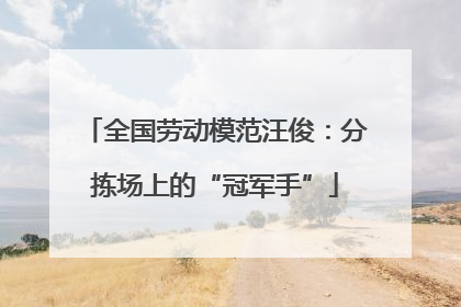 全国劳动模范汪俊：分拣场上的“冠军手”