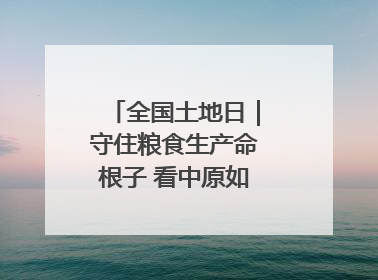 全国土地日｜守住粮食生产命根子 看中原如何“耕”新
