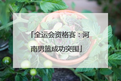 全运会资格赛：河南男篮成功突围