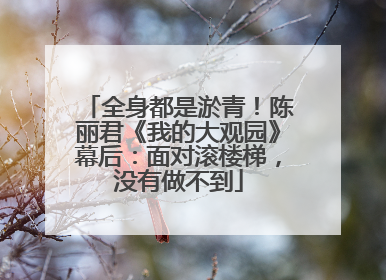 全身都是淤青！陈丽君《我的大观园》幕后：面对滚楼梯，没有做不到