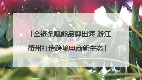 全链条赋能品牌出海 浙江衢州打造跨境电商新生态