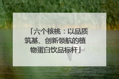 六个核桃：以品质筑基、创新领航的植物蛋白饮品标杆