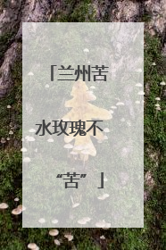 兰州苦水玫瑰不“苦”