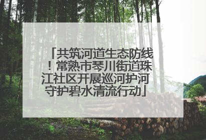 共筑河道生态防线！常熟市琴川街道珠江社区开展巡河护河守护碧水清流行动