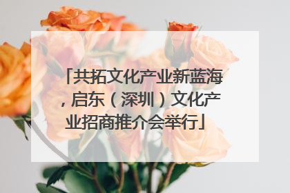 共拓文化产业新蓝海，启东（深圳）文化产业招商推介会举行
