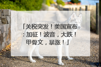 关税突发！美国宣布：加征！波音，大跌！甲骨文，暴涨！