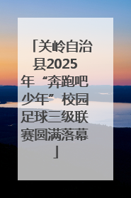 关岭自治县2025年“奔跑吧少年”校园足球三级联赛圆满落幕