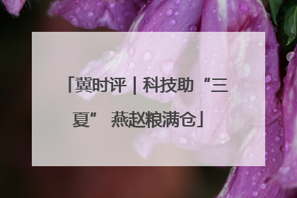 冀时评｜科技助“三夏” 燕赵粮满仓