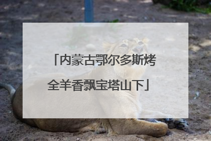 内蒙古鄂尔多斯烤全羊香飘宝塔山下
