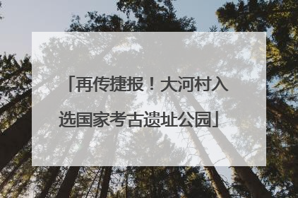 再传捷报！大河村入选国家考古遗址公园