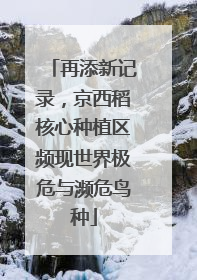 再添新记录，京西稻核心种植区频现世界极危与濒危鸟种